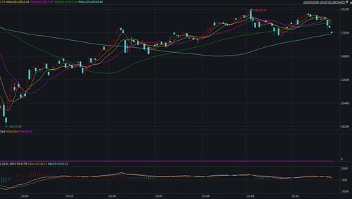 美股三大指数大幅低开，信贷服务与数据处理板块成主要拖累
